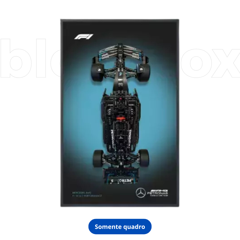 Quadro Fórmula 1 Mercedes W14 - 6